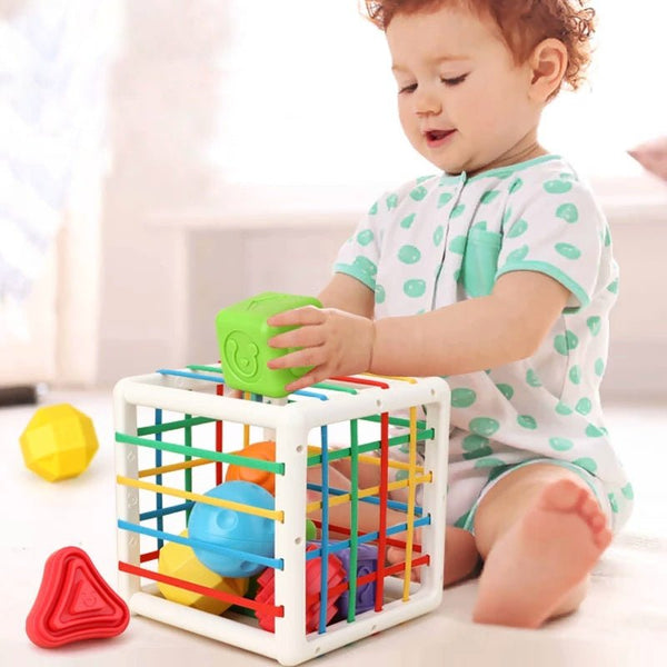 Montessori Sensory Sorting Cube